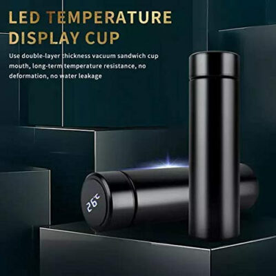 Temperature Water Bottle